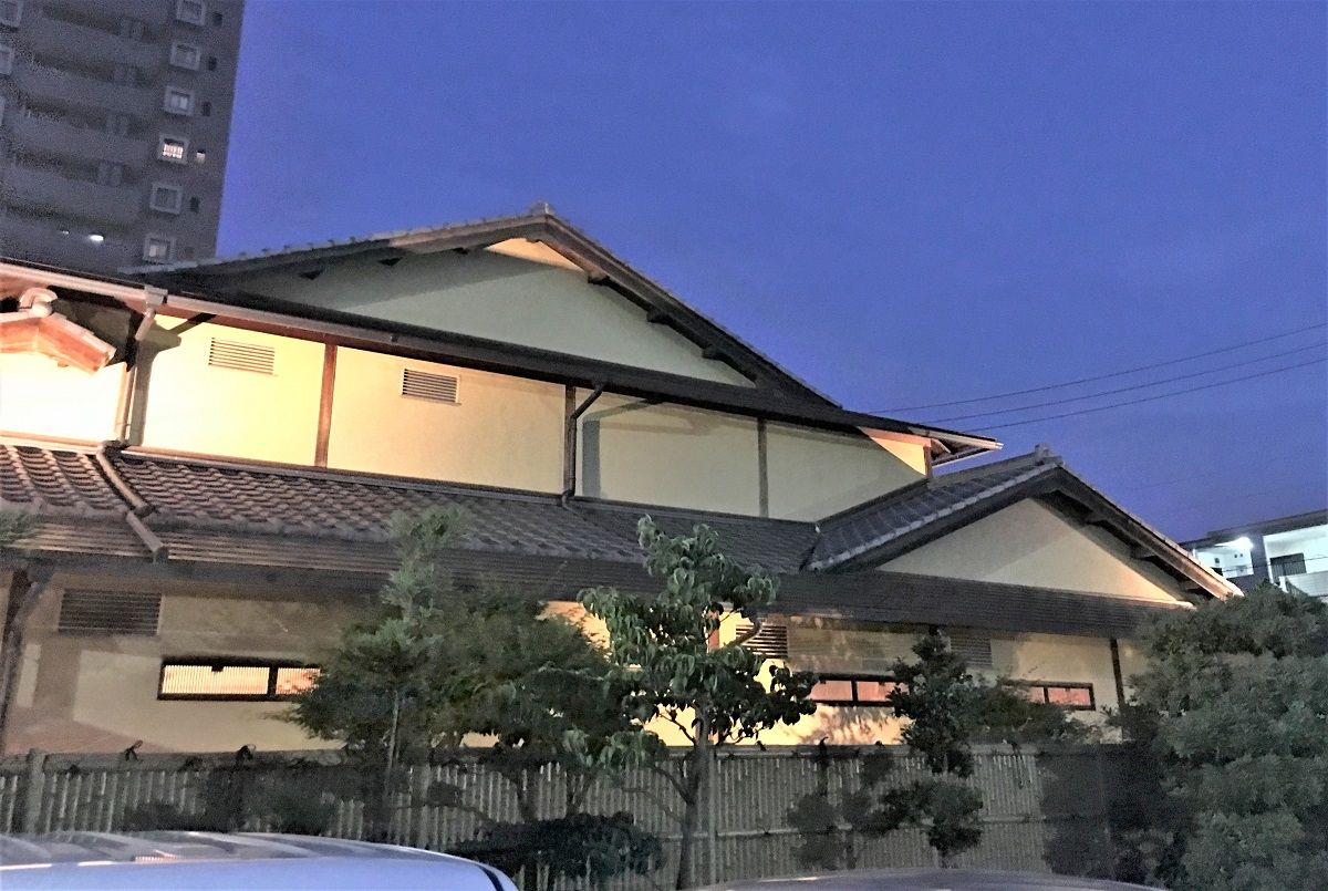 梅の花12