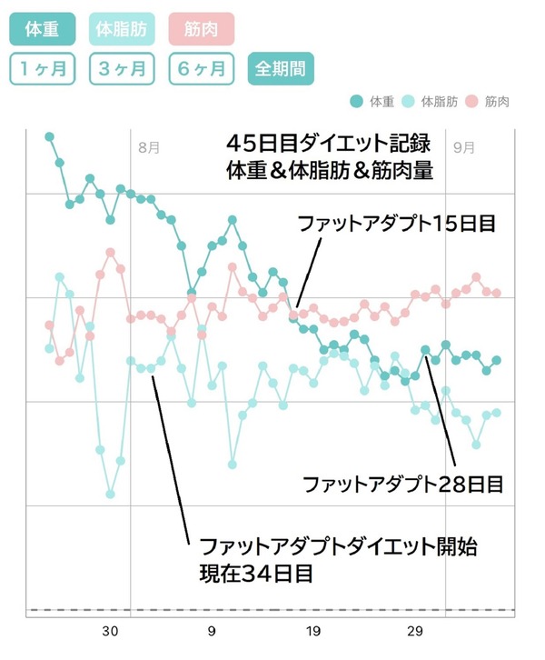 45日目グラフ