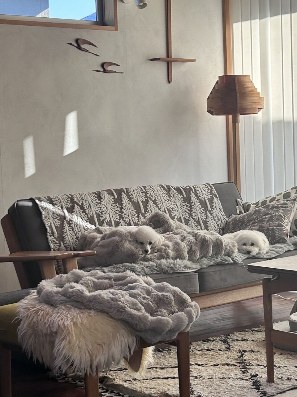 速報】ミナペルホネン30周年特集が予約開始！限定トート付き「特装版