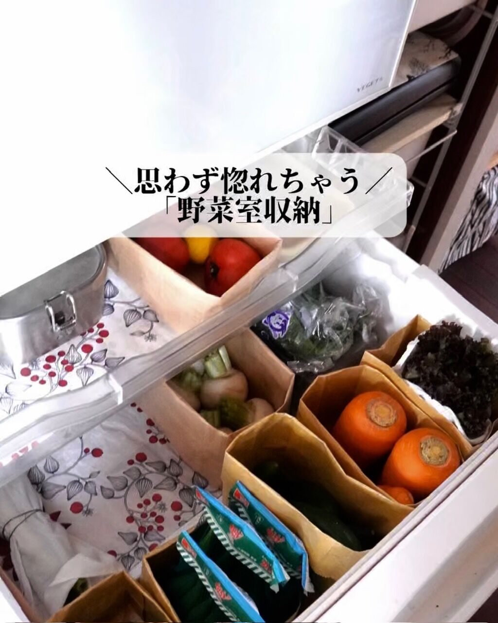 冷蔵庫 野菜 室 収納