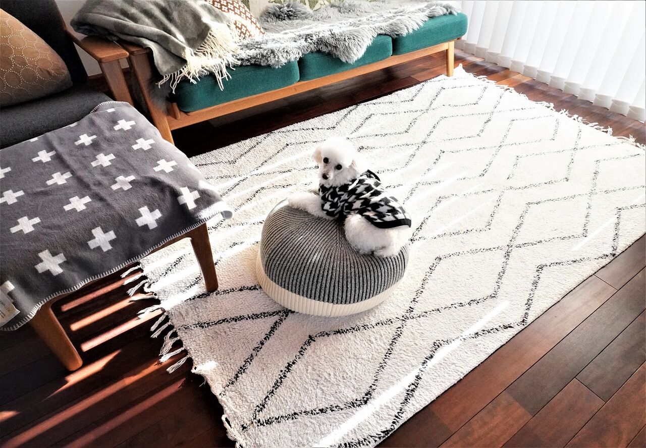 楽天マラソン お気に入りのコットンラグについて 欲しい北欧雑貨 10年後も好きな家 家時間が好きになる 家事貯金 北欧インテリア Powered By ライブドアブログ