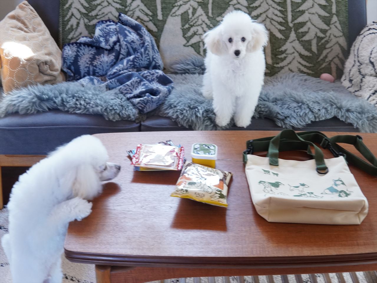 カルディ 犬の日おさんぽバッグゲット お菓子中身大公開 10年後も好きな家 家時間が好きになる 家事貯金 北欧インテリア Powered By ライブドアブログ