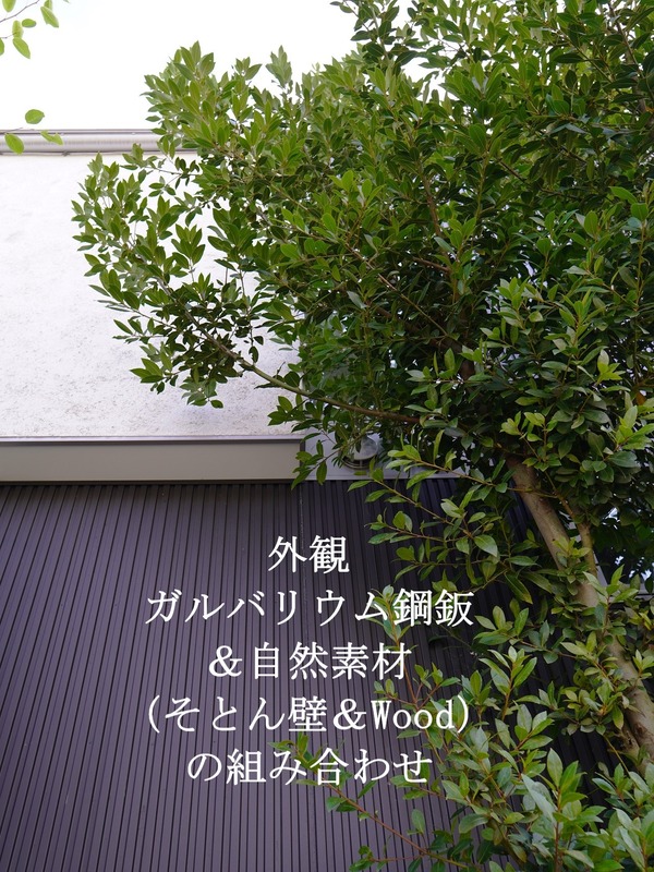 333