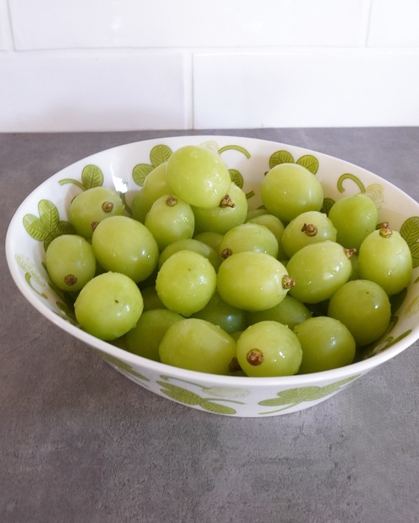 DSC02563