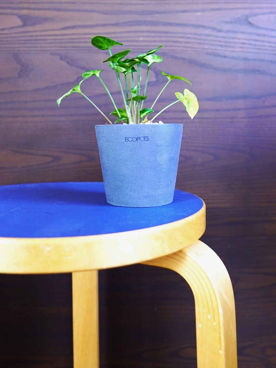 Artek / 90D テーブル スコープ別注 リノリウム 90D テーブル | Artek (アルテック)