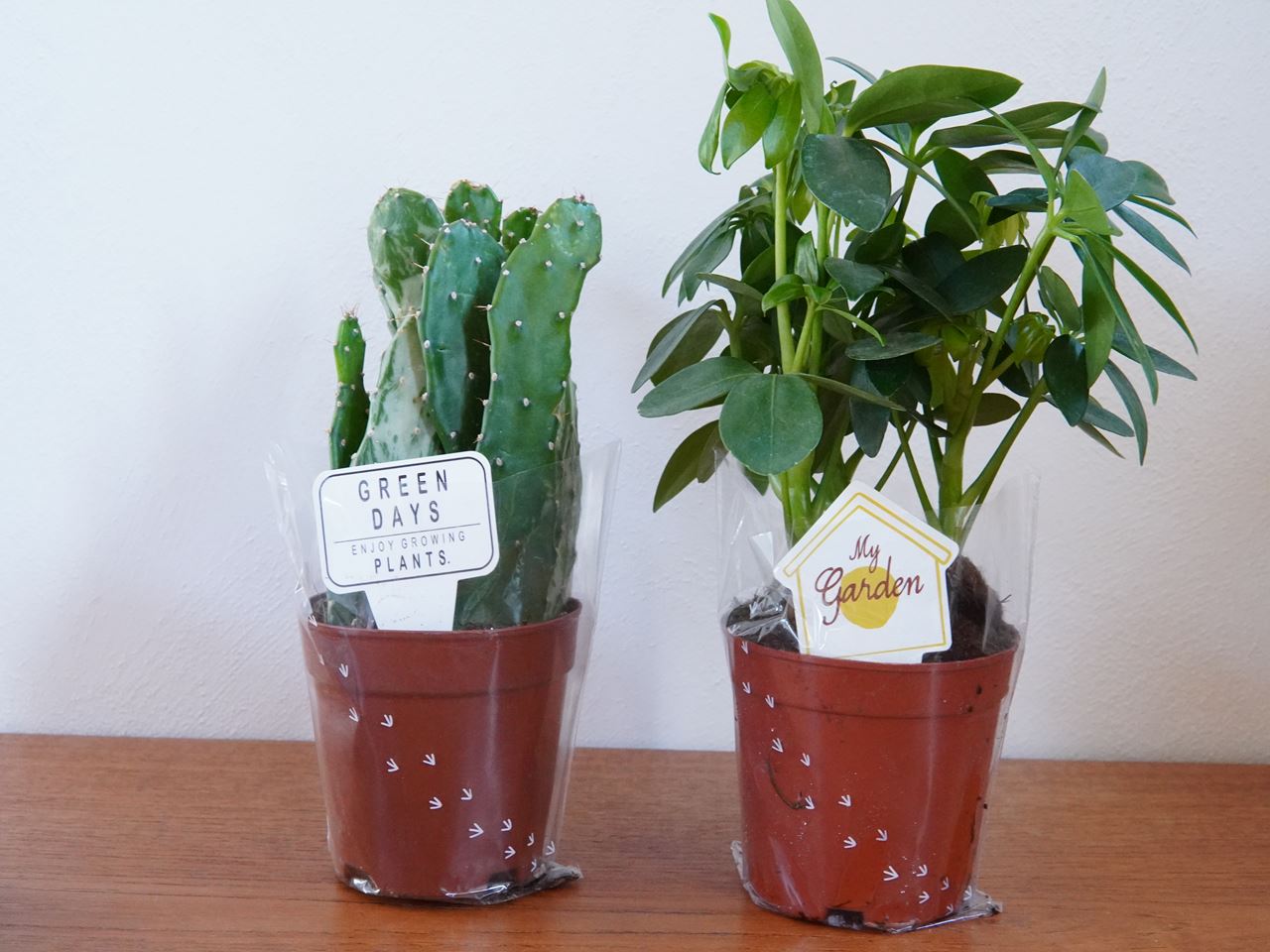 3coins 自然と暮らす シリーズの新商品が素敵 グリーンのある暮らしが叶うグッズ 10年後も好きな家 家時間が好きになる 家事貯金 北欧インテリア Powered By ライブドアブログ