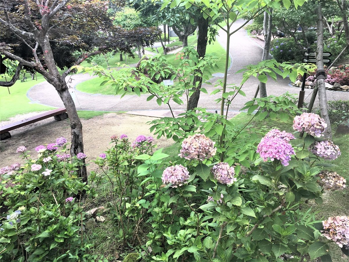 銀の森13