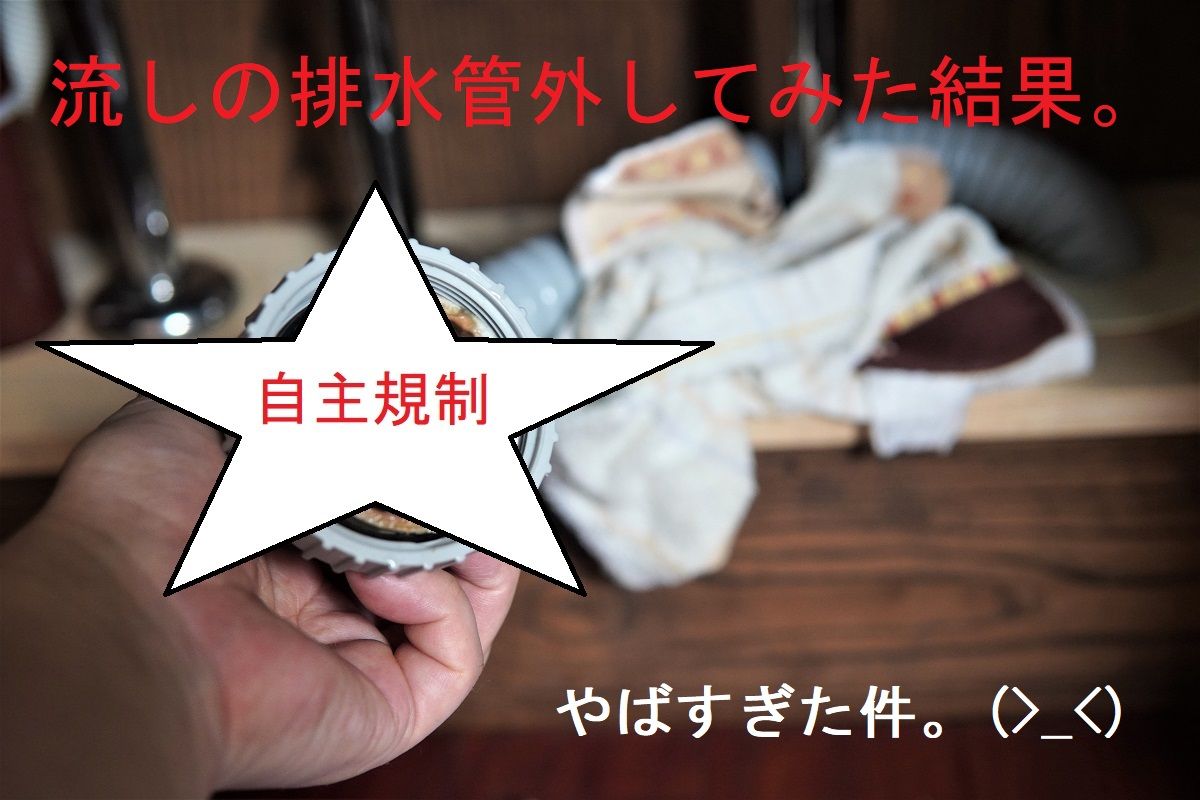 排水溝掃除6 - コピー