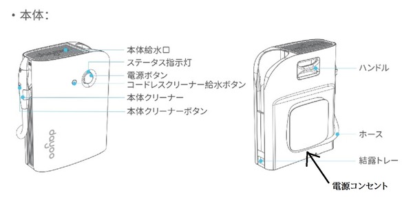 本体