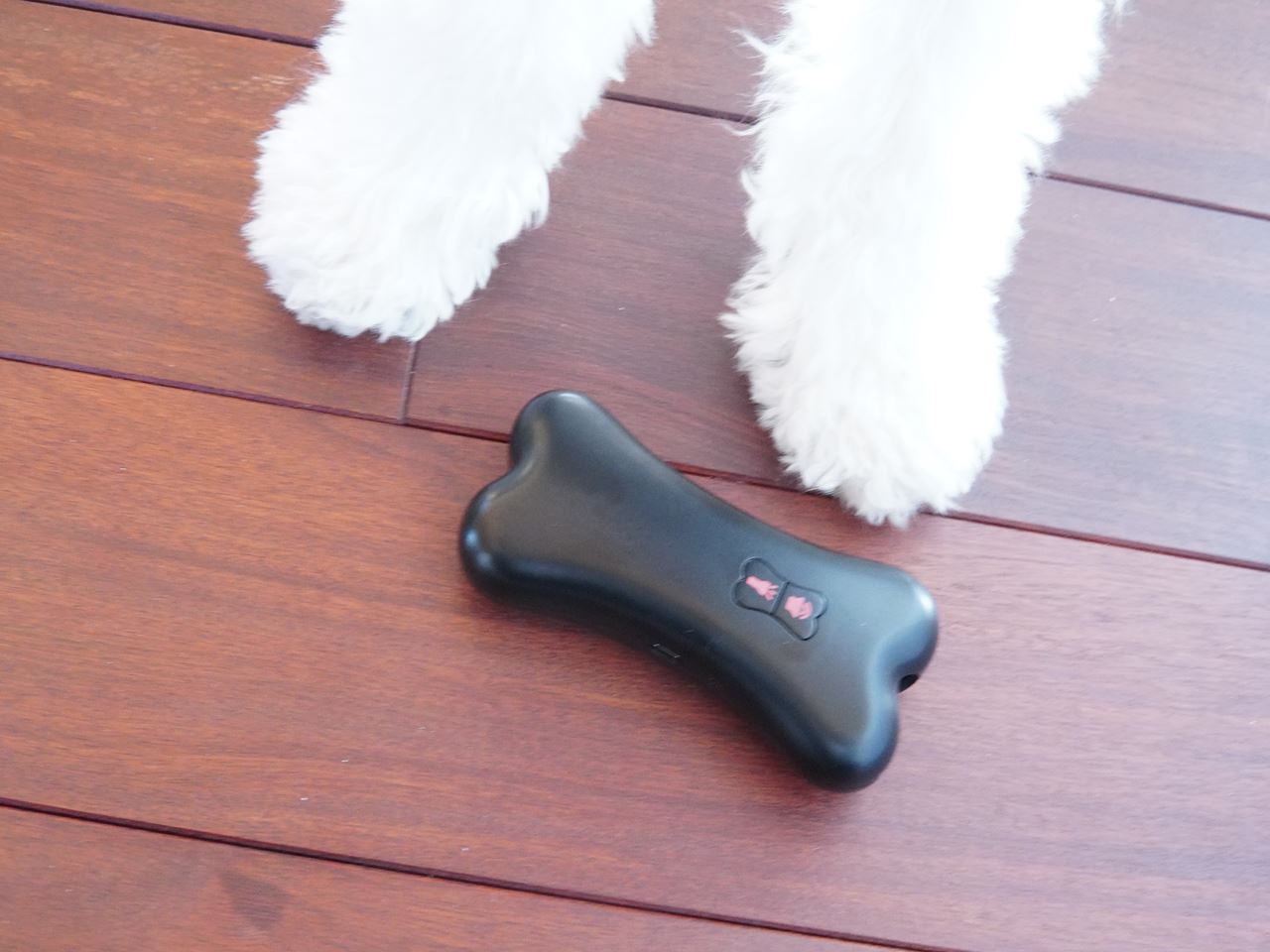 愛犬の 無駄吠え防止グッズ の効果が凄すぎた 超音波式を試してみた 10年後も好きな家 家時間が好きになる 家事貯金 北欧インテリア Powered By ライブドアブログ 愛犬の 無駄吠え防止グッズ の効果が凄すぎた 超音波式を試してみた 10年後も好きな家 家時間が好きになる 家事貯金 北欧インテリア Powered By ライブドアブログ