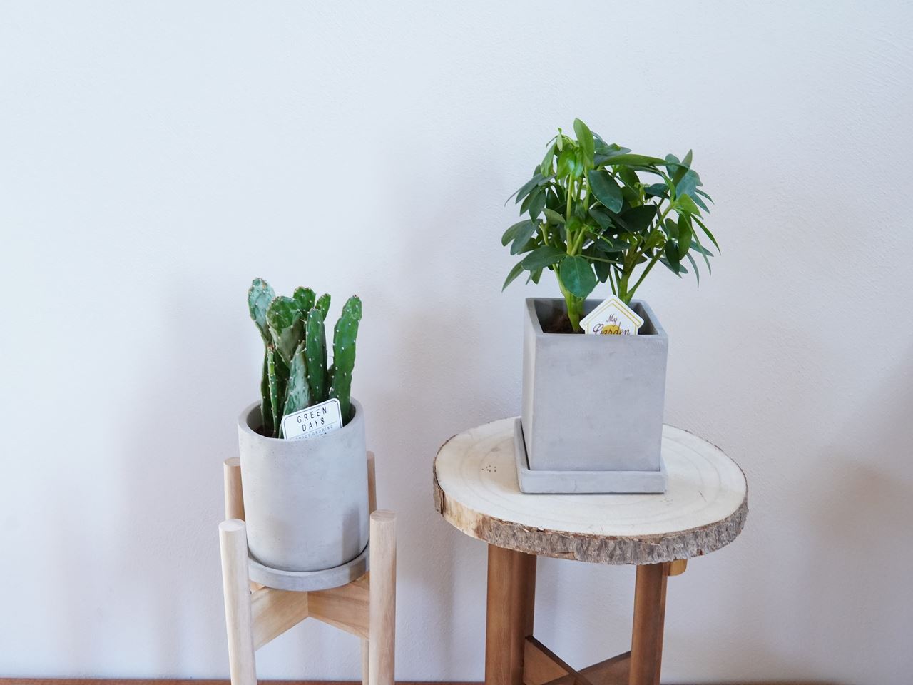3coins 自然と暮らす シリーズの新商品が素敵 グリーンのある暮らしが叶うグッズ 10年後も好きな家 家時間が好きになる 家事貯金 北欧インテリア Powered By ライブドアブログ