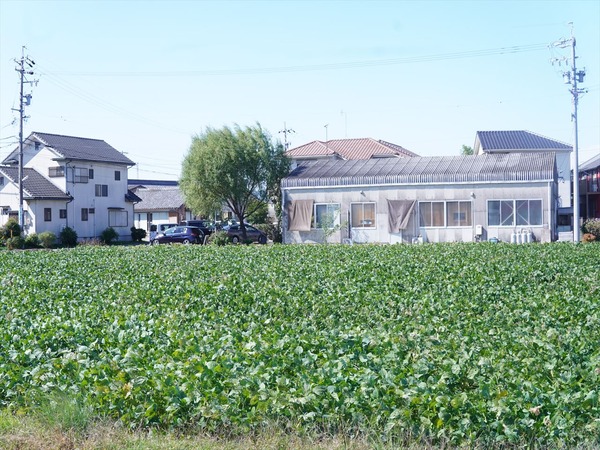 DSC07489_R