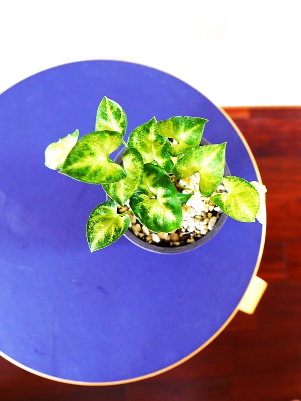 scope特注】ワケありアルテック90Dテーブルリノリウム！超特価セール中