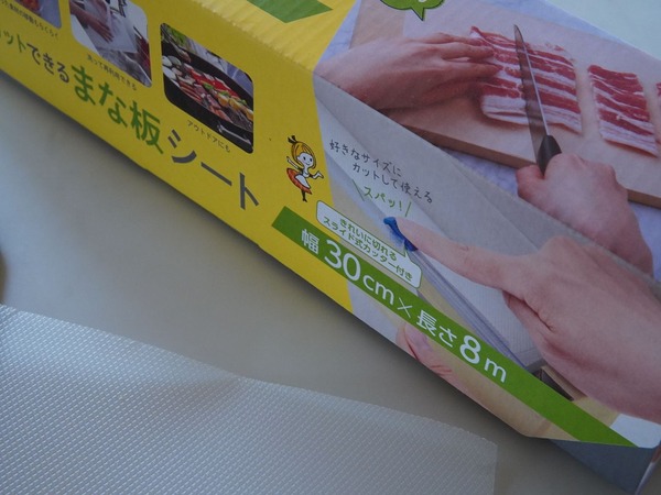 DSC06609_R