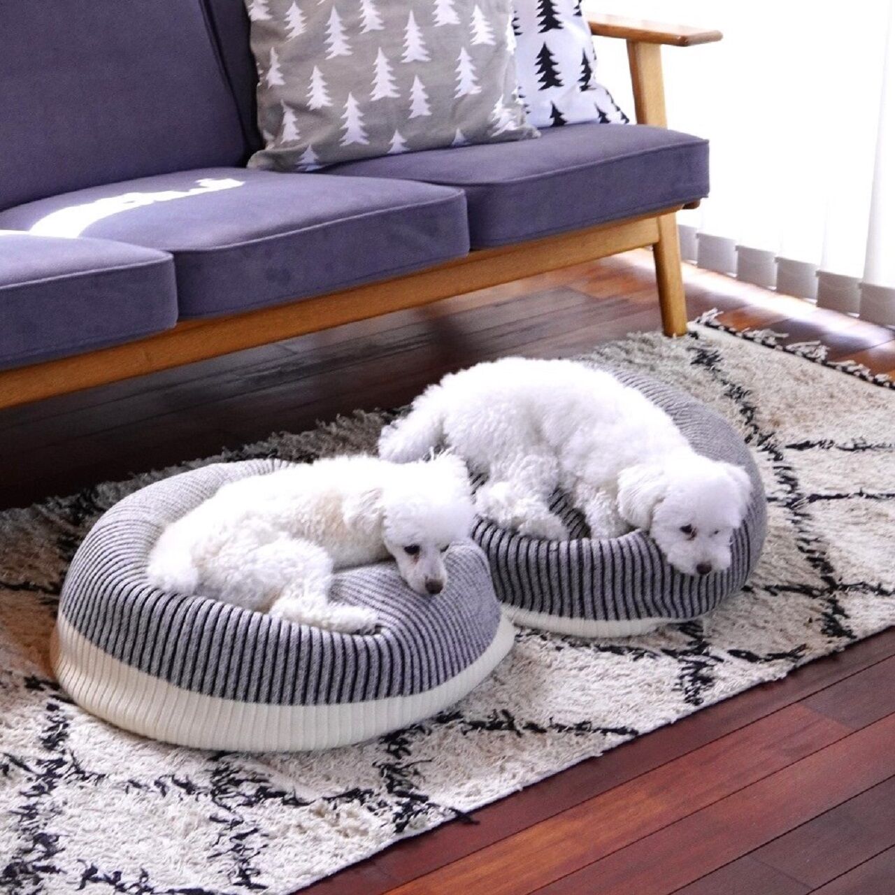 展示品　イデー　プーフ　クッション　ビーズクッション　北欧　モダン　カフェ 5年経っても活躍中-IDEEのビーズクッション-PUUF（プーフ）｜ムラカミ