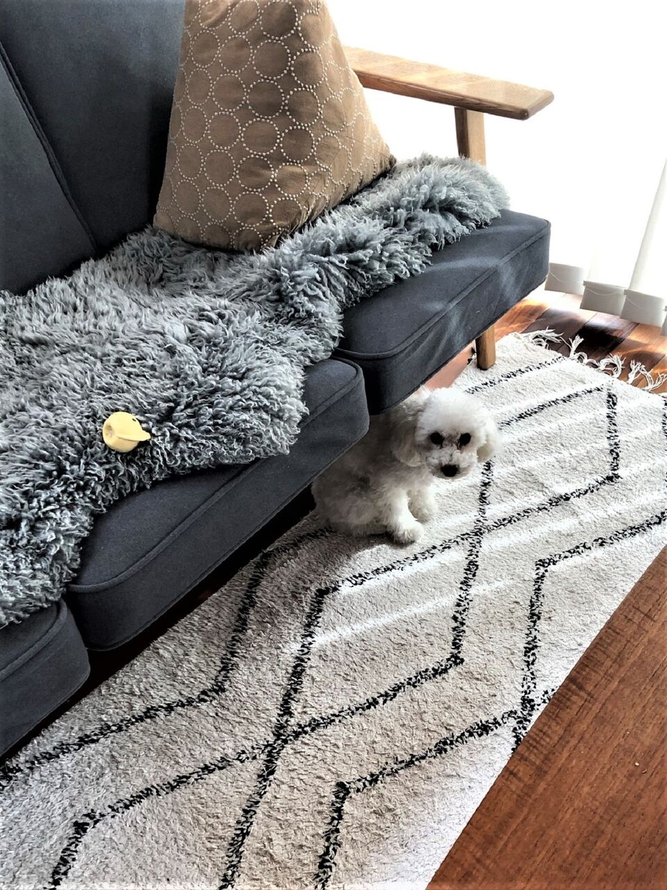 愛犬の 無駄吠え防止グッズ の効果が凄すぎた 超音波式を試してみた 10年後も好きな家 家時間が好きになる 家事貯金 北欧インテリア Powered By ライブドアブログ 愛犬の 無駄吠え防止グッズ の効果が凄すぎた 超音波式を試してみた 10年後も好きな家 家時間が好きになる 家事貯金 北欧インテリア Powered By ライブドアブログ