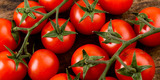 Pomodori-di-Pachino-grande