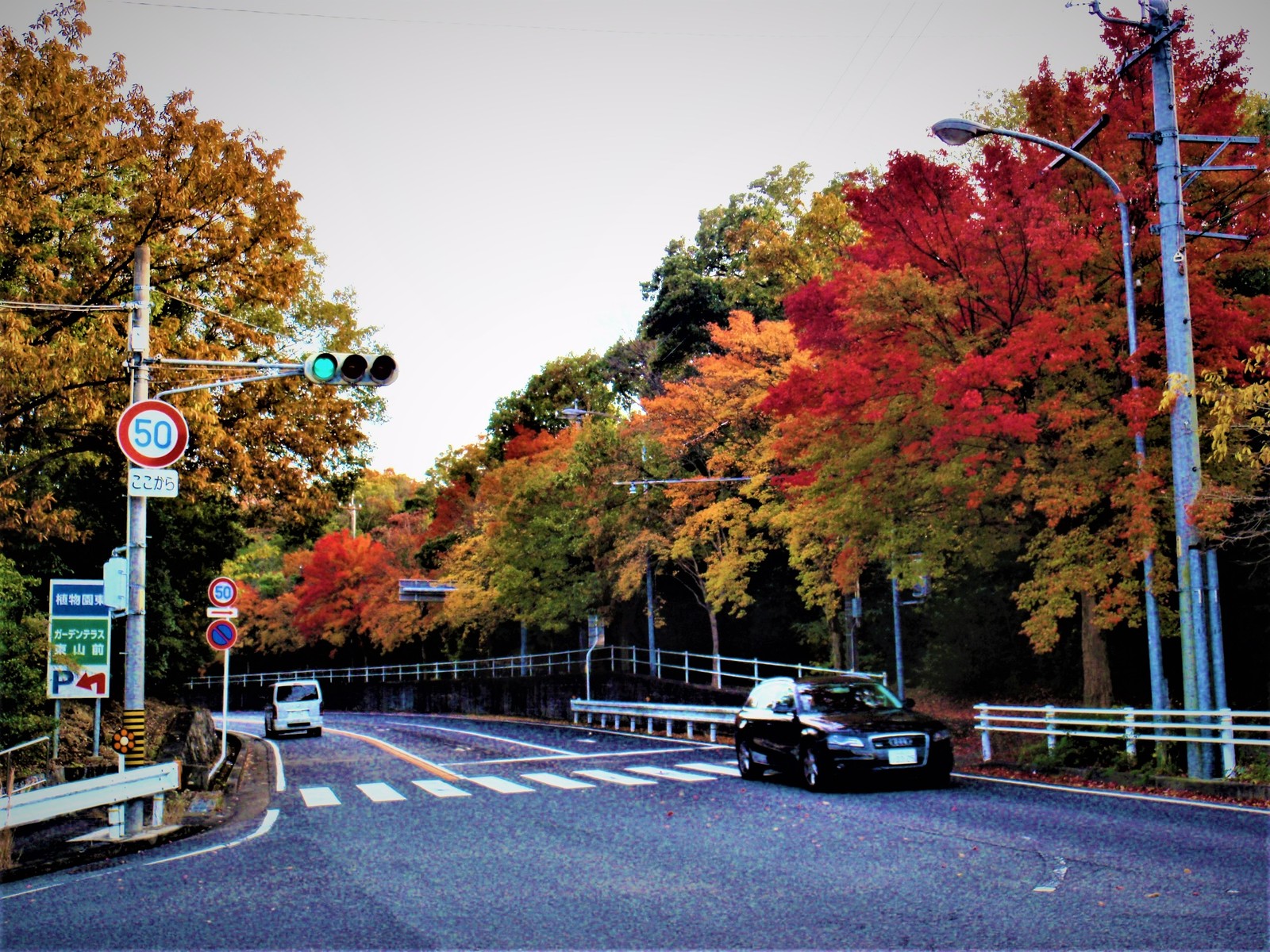 2016 11 17 歩こう会 名大キャンパスから 冬支度の東山を散歩する Asc24一宮 みんなへの掲示板