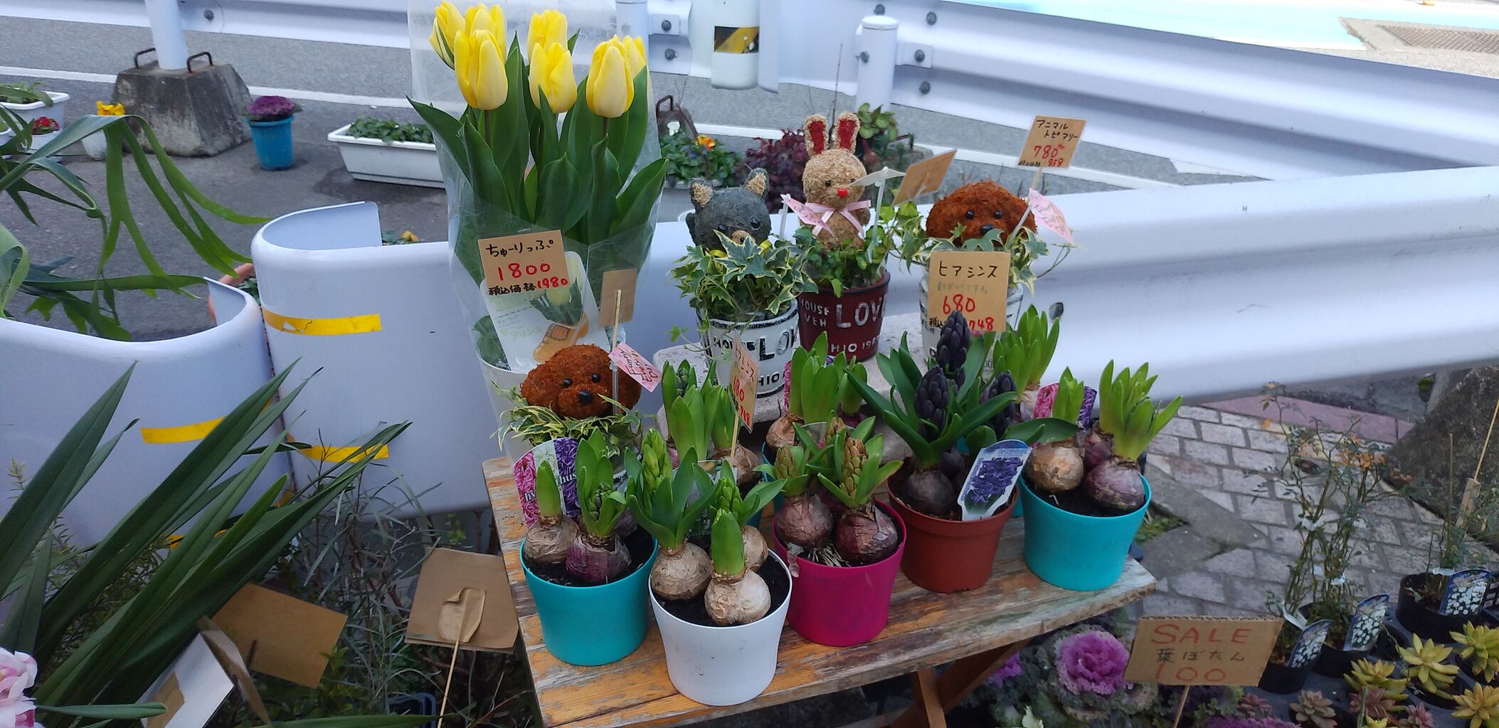 可愛い花屋さん 花物語 春日原駅前 福岡よかとこ 一度はおいで