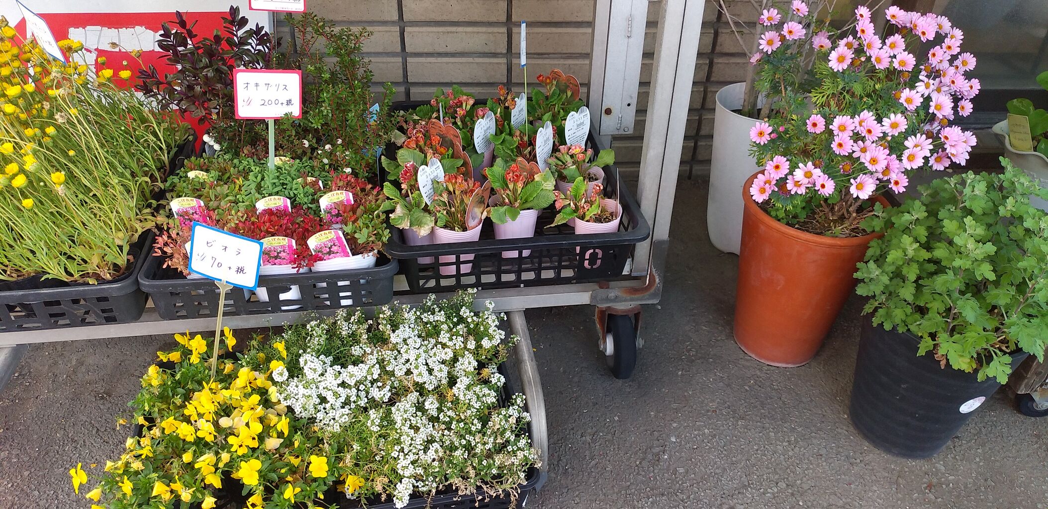 伯玄ガーデン 春日市伯玄町のお花屋さん 福岡よかとこ 一度はおいで