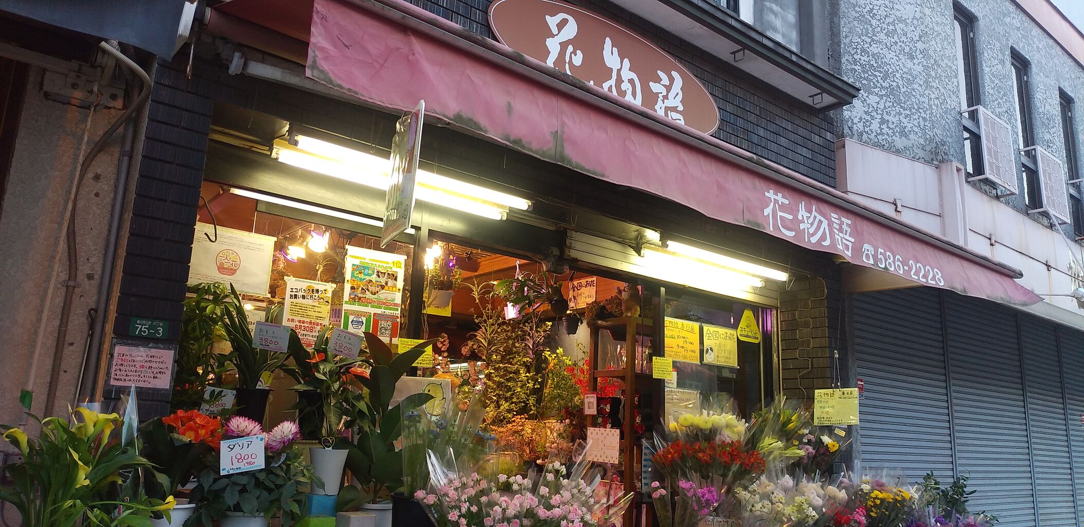花物語 西鉄春日原駅前にあるよー 福岡よかとこ 一度はおいで 花物語 西鉄春日原駅前にあるよー 福岡よかとこ 一度はおいで