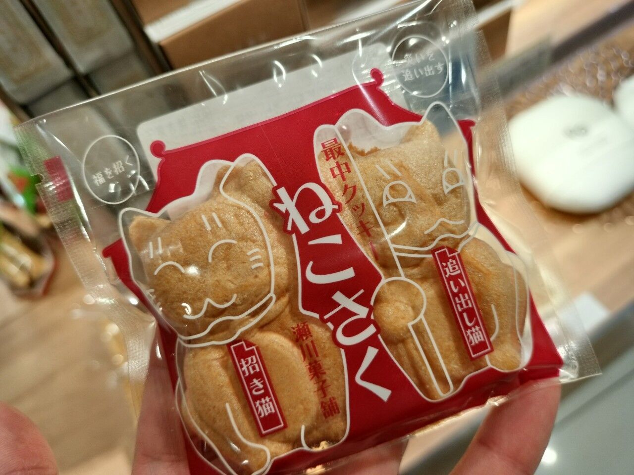 カワイイ猫の焼き菓子 ねこさく : 福岡よかとこ~一度はおいで~2 カワイイ猫の焼き菓子 ねこさく : 福岡よかとこ~一度はおいで~2