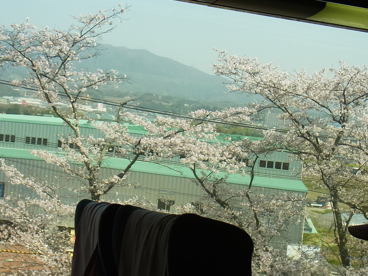 家族で春の高野山 その１ 大阪とはずがたり