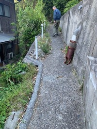 IMG_8204