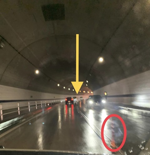 361962603_759376202863292_1359925743956250955_n (1)