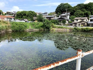 IMG_3466 (1)