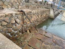 IMG_3704