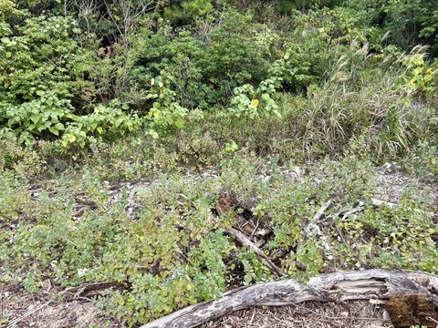 577852646_1413136074153965_7290283817765220068_n