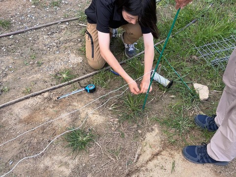 566366429_17865585393471985_7959777522395929001_n