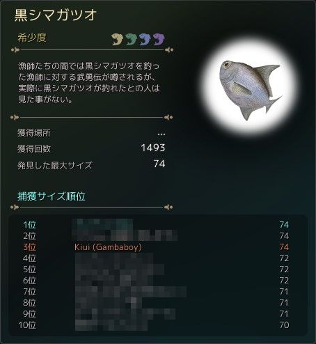 砂漠日記 236 砂漠の石博士