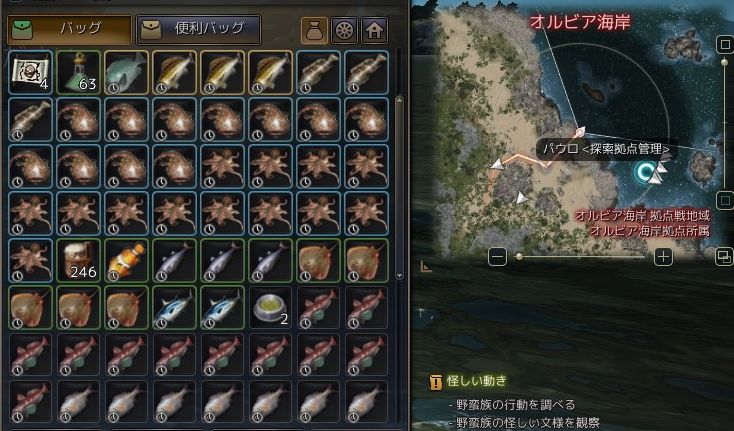 砂漠日記 160 砂漠の石博士