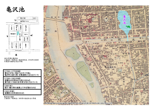 ��ν۴Ĺֺ¥ѥͥ�