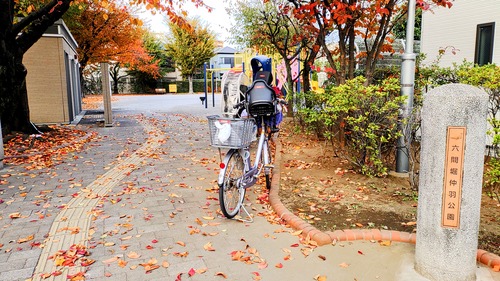 Ï»´ÖËÙÃ籩¸ø±à