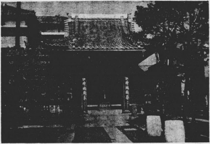 ������¢º