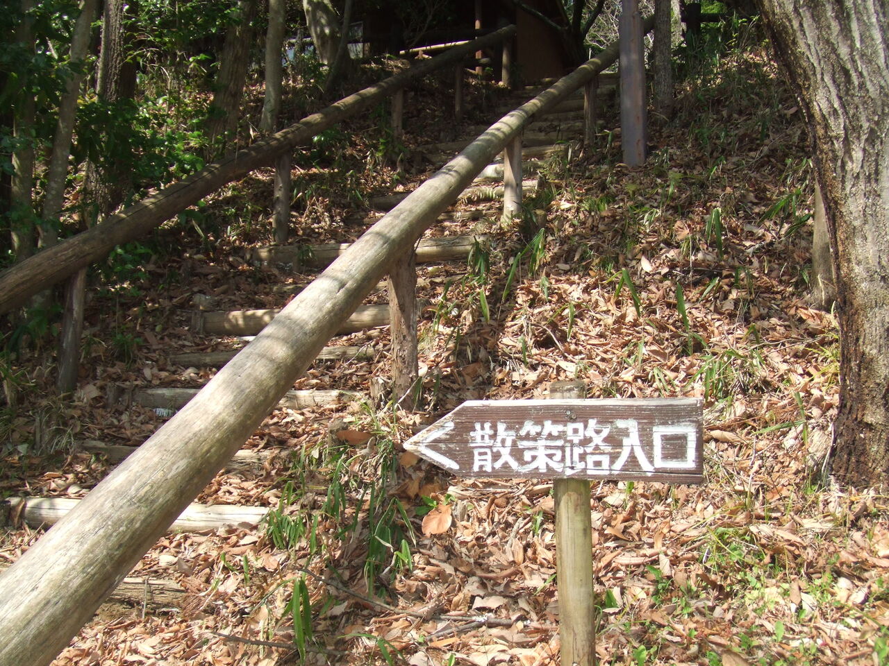 森の散歩道 足柄ふれあいの村ブログ 森の散歩道 足柄ふれあいの村ブログ