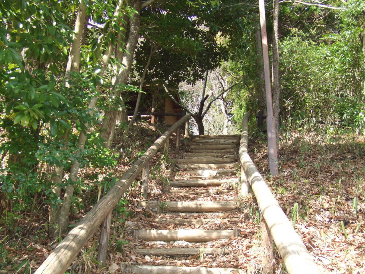森の散歩道 足柄ふれあいの村ブログ 森の散歩道 足柄ふれあいの村ブログ