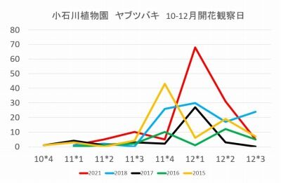 椿の月別開花観察日