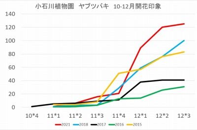 椿の月別開花印象