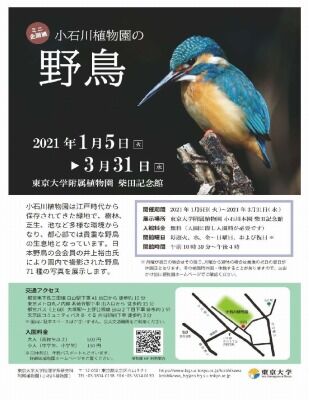 野鳥企画展2021-1