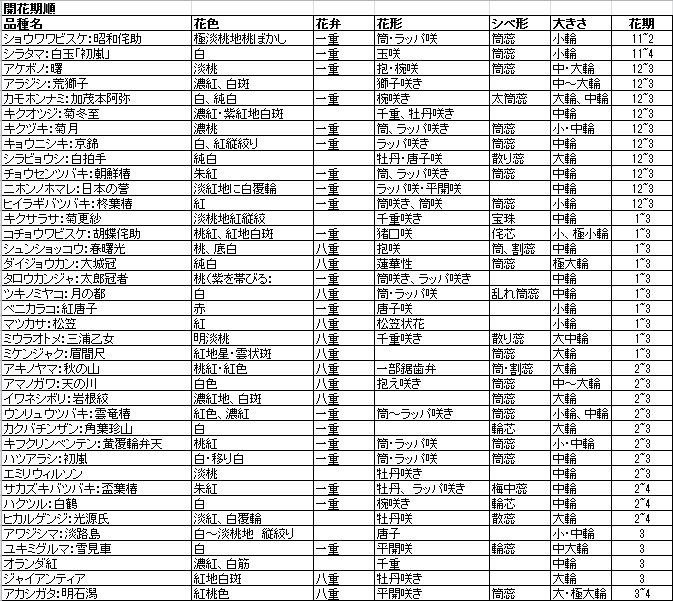 小石川植物園 椿品種の開花時期 好奇心の植物観察