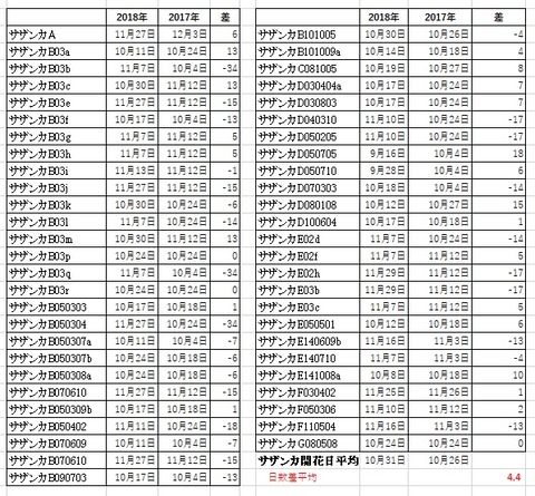 小石川植物園サザンカ開花日
