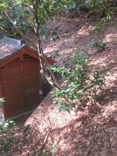 ツバキF100405d-pj01