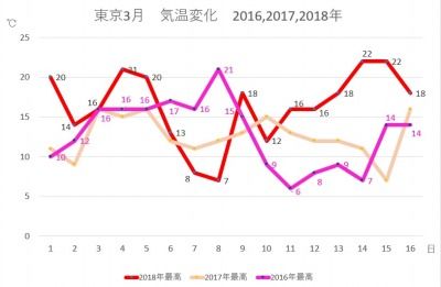 あれよあれよと春が来た 好奇心の植物観察