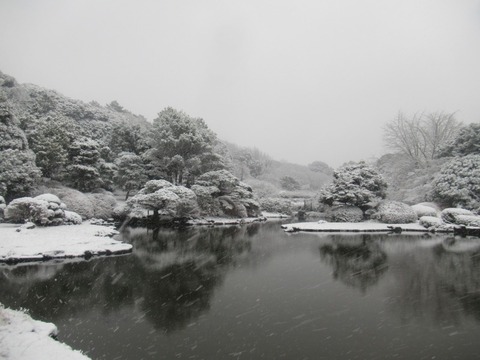 小石川植物園E030610-22010601