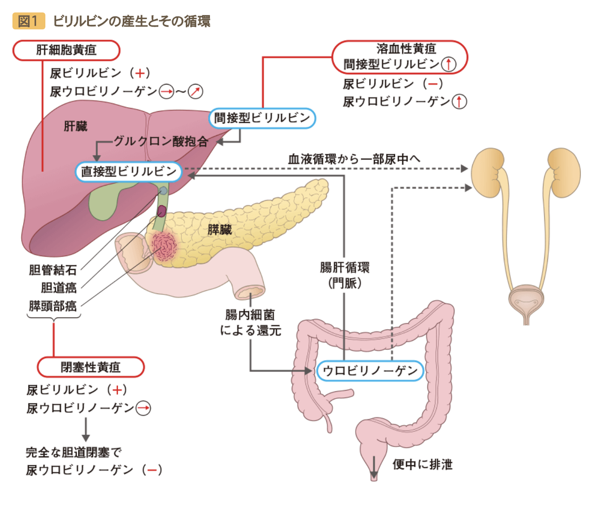 Icu備忘録 2020年01月17日