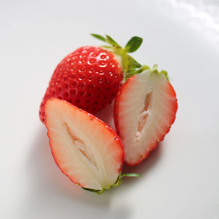 これから始まる苺の季節 美味い びぜん岡山にじいろトリップ